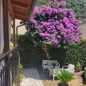 Appartamento La Bouganville E Il Gelsomino, Pietrasanta